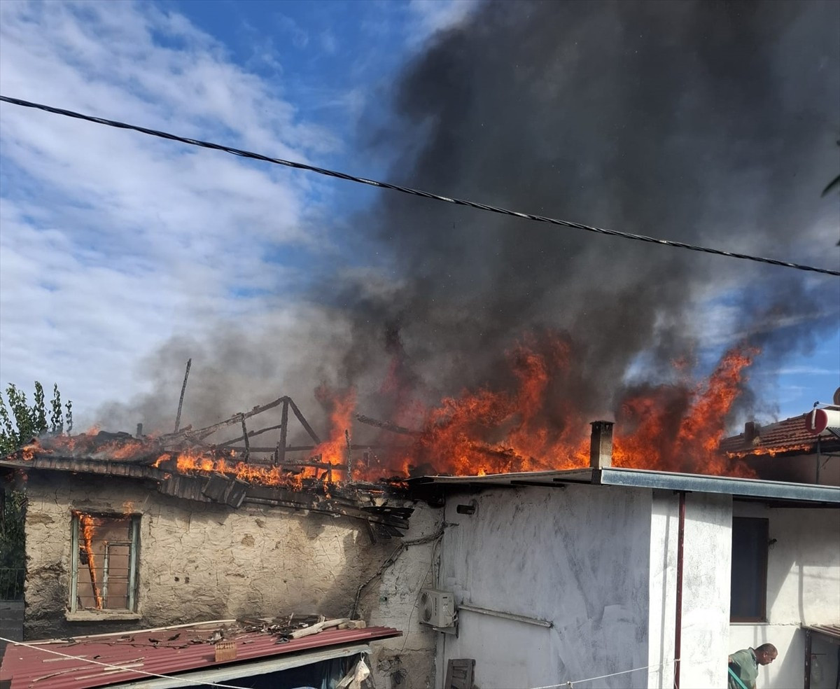 Aydın'ın Bozdoğan ilçesinde çıkan yangında aynı aileye ait 3 ev hasar gördü. 