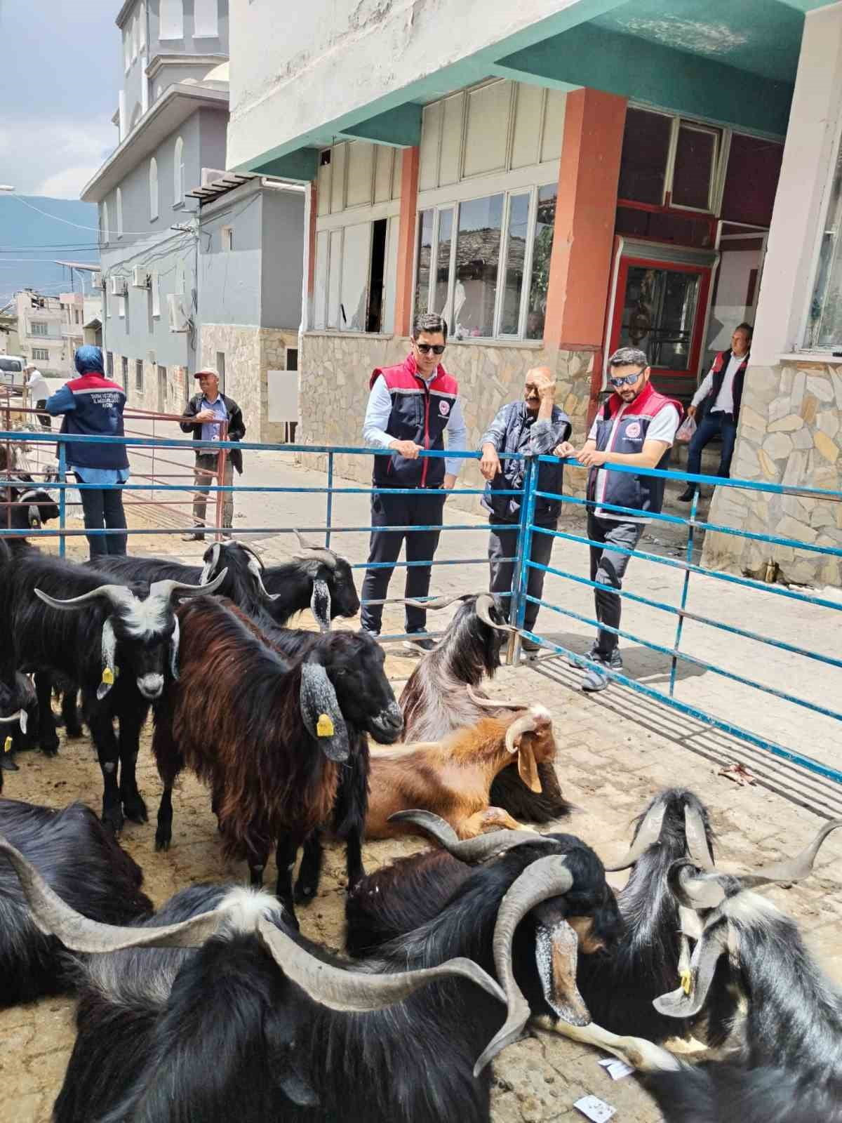 AYDIN'IN BOZDOĞAN İLÇESİNDE YAKLAŞAN KURBAN BAYRAMI ÖNCESİNDE KURBAN SATIŞ YERLERİNE YÖNELİK...