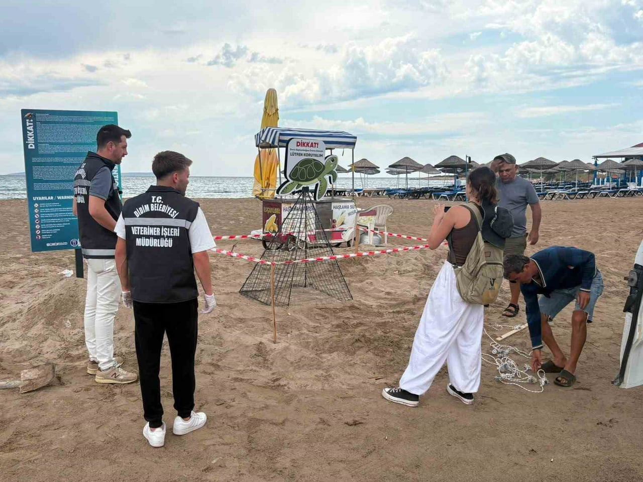 AYDIN'IN DİDİM İLÇESİNDE MANASTIR KOYU’NDA KIYIYA ÇIKAN VE YÖNÜNÜ ŞAŞIRARAK BALÇIKLI ALANA...