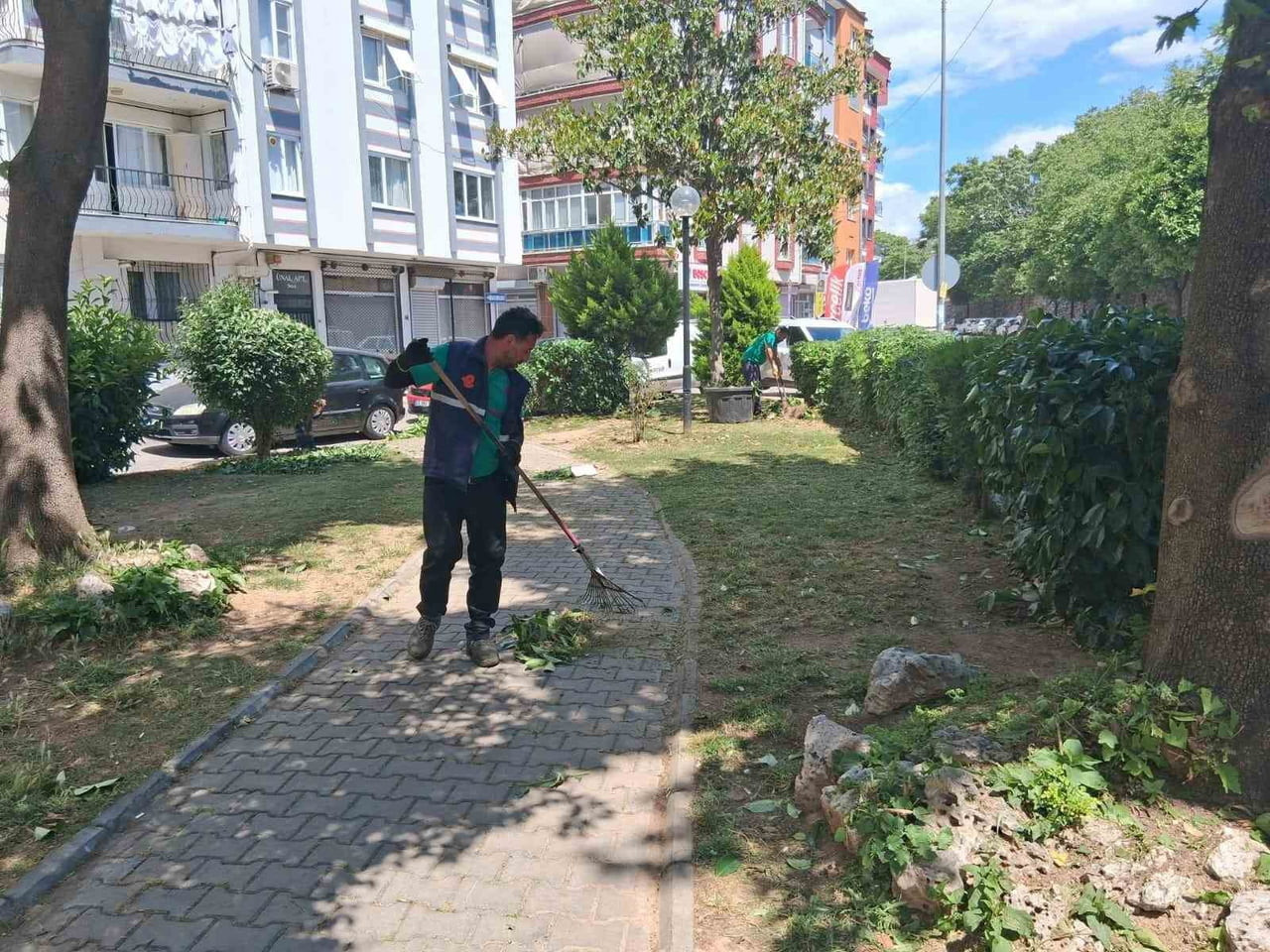 AYDIN'IN EFELER İLÇESİNDE BELEDİYE EKİPLERİ, PARK VE YEŞİL ALANLARDA BAKIM VE DÜZENLEME...
