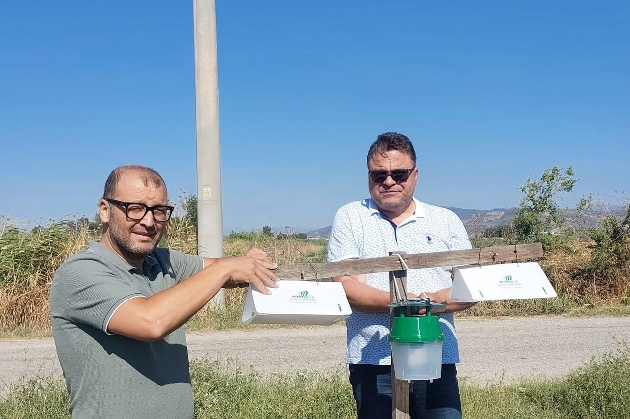AYDIN'IN EFELER İLÇESİNDE PAMUK ÜRETİMİNDE VERİM VE KALİTE KAYIPLARININ ÖNÜNE GEÇİLMESİ AMACIYLA...