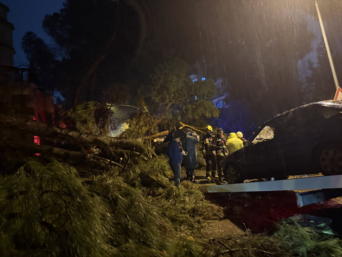  Aydın'ın Efeler ilçesinde sağanak ve fırtınanın etkisiyle çam ağacının otomobilin üstüne...