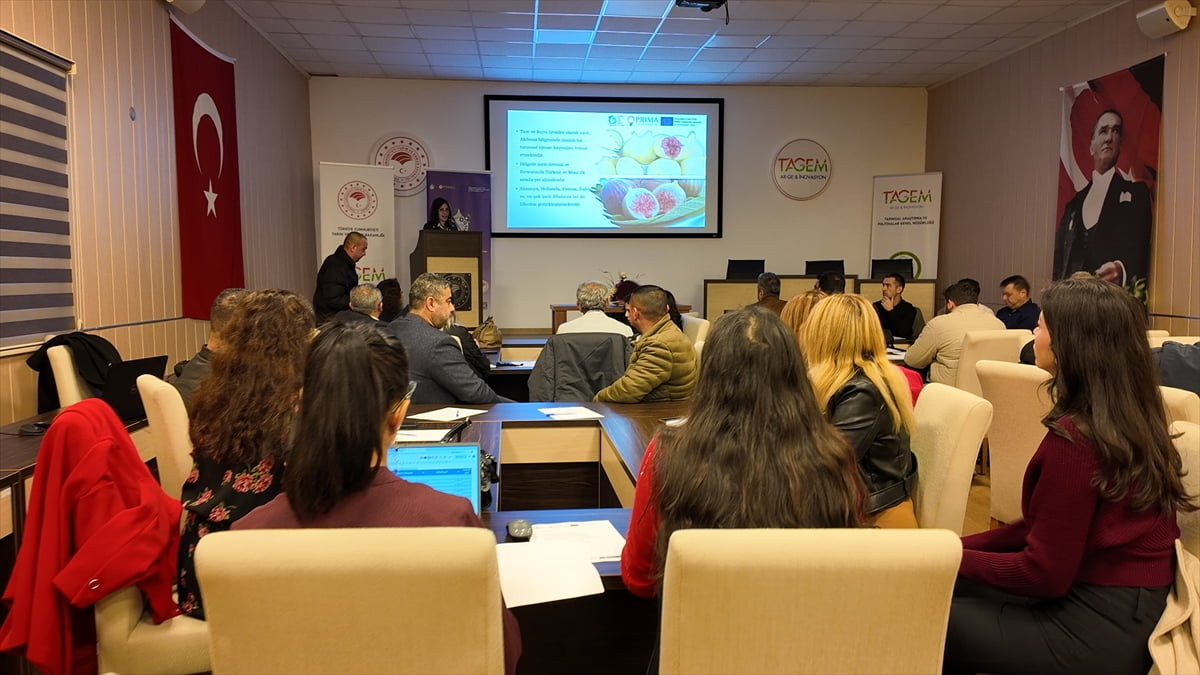 Aydın'ın İncirliova ilçesinde, incir atıklarının çevresel ambalajlara dönüştürülmesini amaçlayan...