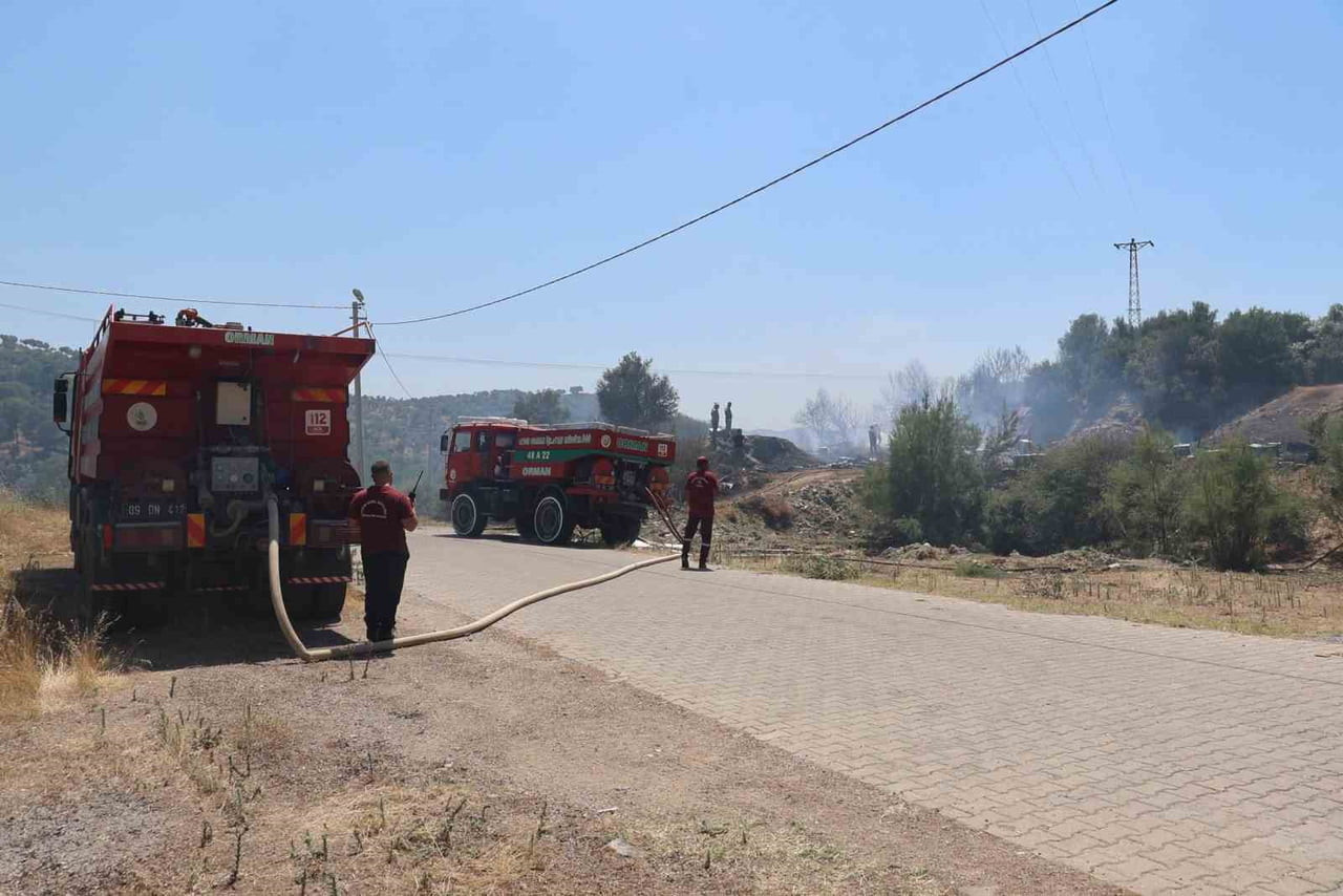 AYDIN'IN KOÇARLI İLÇESİNDE ZEYTİNLİK ALANDA ÇIKAN YANGIN, KARADAN VE HAVADAN MÜDAHALE İLE KISA...