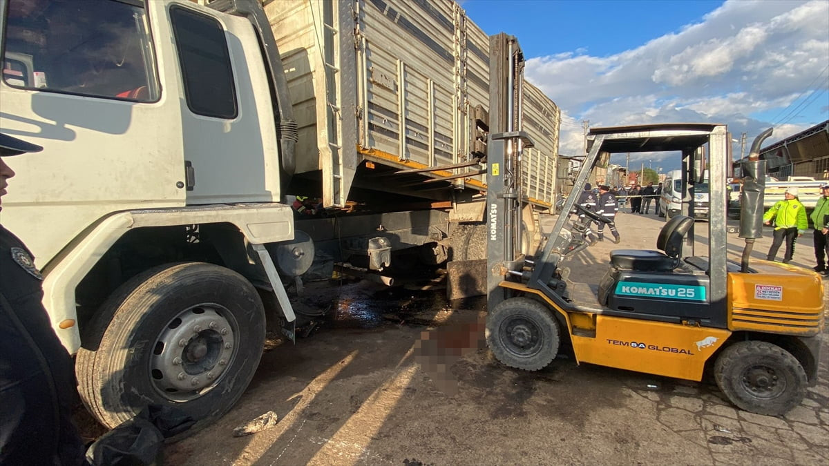 Aydın'ın Nazilli ilçesinde kamyonu tamir etmeye çalışan kişi ile kamyonun şoförü damperin altında...