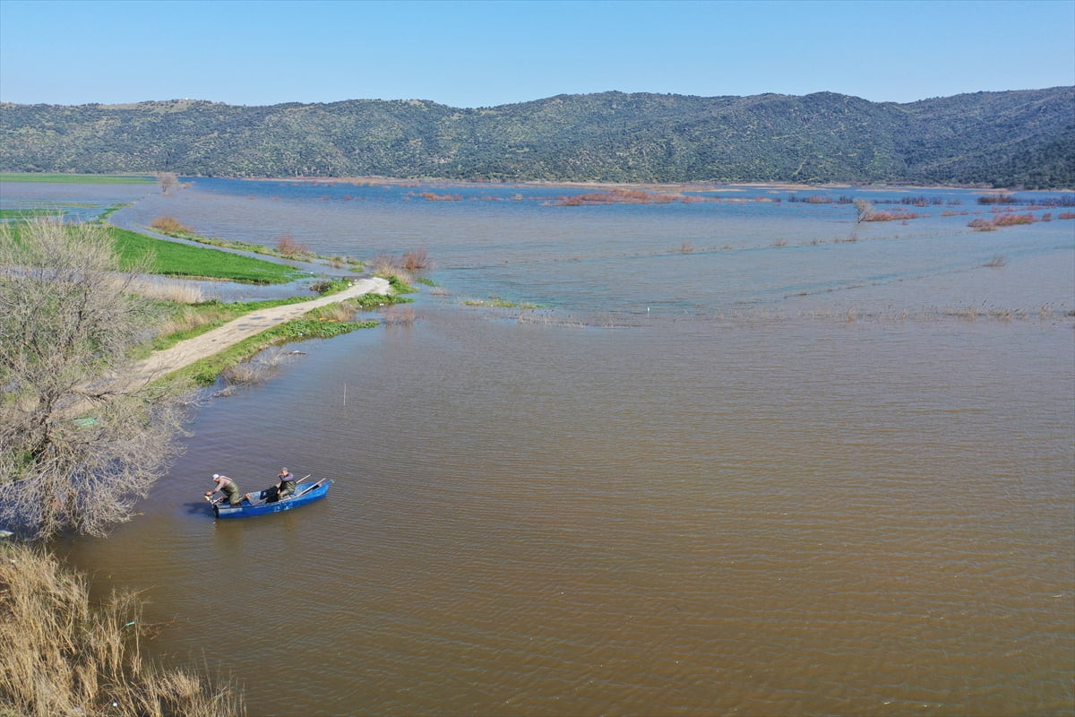 Aydın'ın Söke ilçesinde Büyük Menderes Nehri ile çevredeki derelerin taşması sonucu su altında...