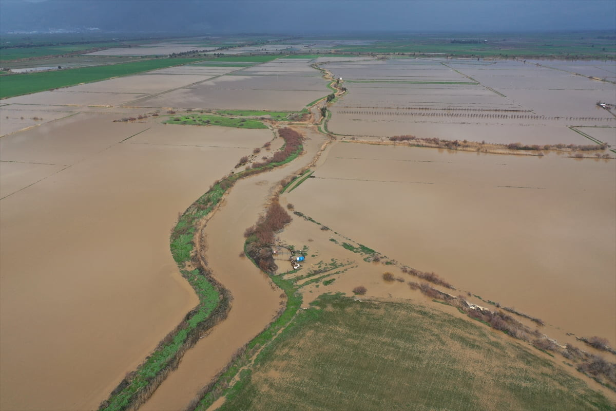 Aydın'ın Söke ilçesinde Büyük Menderes Nehri'nde meydana gelen taşkın nedeniyle tarım arazileri su...