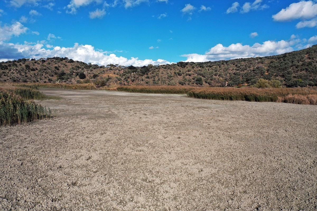 Aydın'ın Söke ilçesinde "Ulusal Öneme Haiz Sulak Alan" statüsünde bulunan Azap Gölü'nün çoğu kısmı...