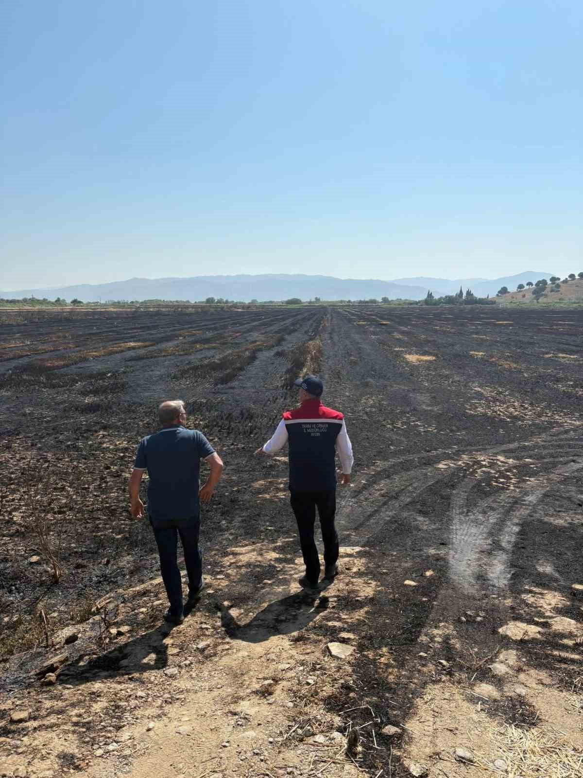 AYDIN'IN SÖKE İLÇESİNDE TARIM ARAZİLERİNDE MEYDANA GELEN YANGINDA ZARAR GÖREN ALANLAR VE YANAN...