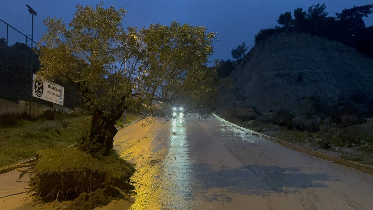 Aydın'ın Söke ve Kuşadası ilçelerinde etkili olan sağanak yaşamı olumsuz etkiliyor. Söke Yenikent...