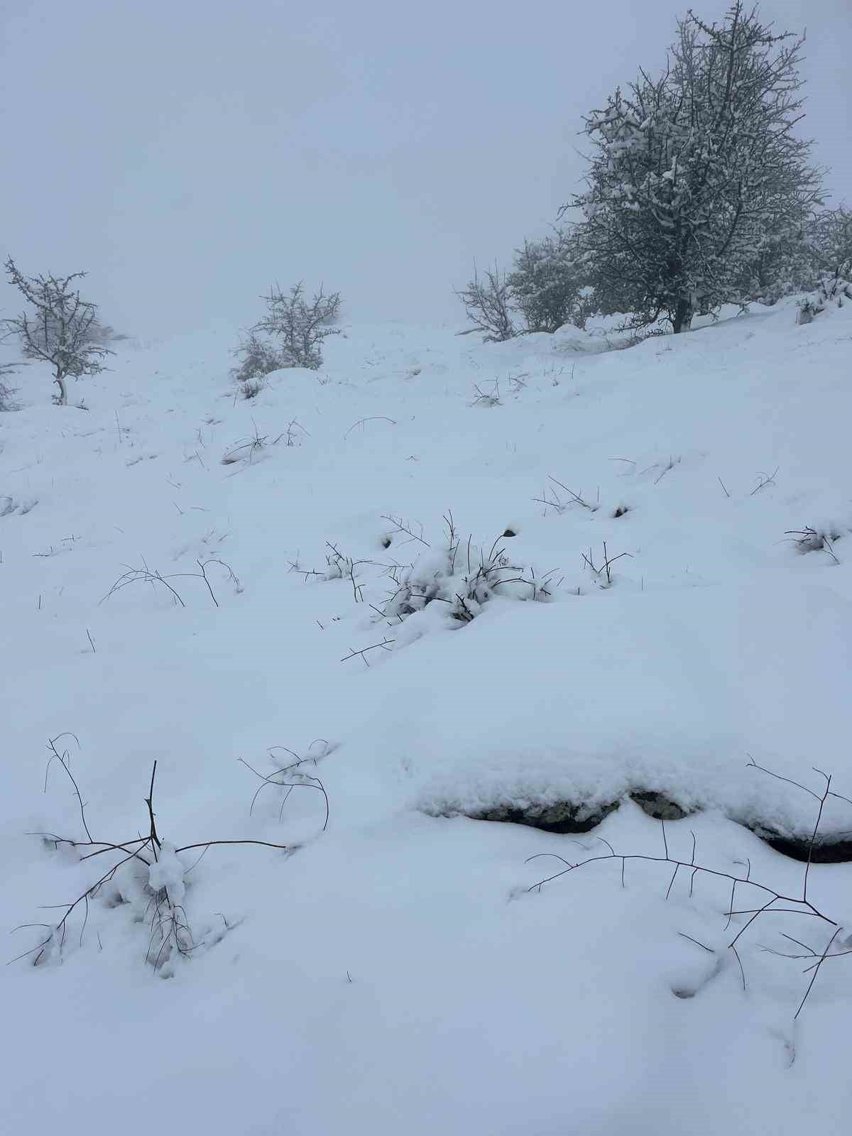 AYDIN’IN BOZDOĞAN İLÇESİNDE ETKİLİ OLAN SOĞUK HAVA DALGASI, KARINCALI DAĞI’NDA YOĞUN KAR YAĞIŞINA...
