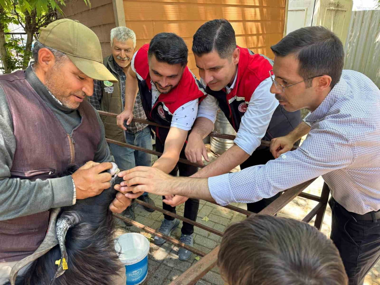 AYDIN’IN BOZDOĞAN İLÇESİNDE KURBAN BAYRAMI ÖNCESİ HAYVAN PAZARINDA DENETİM GERÇEKLEŞTİRİLDİ....