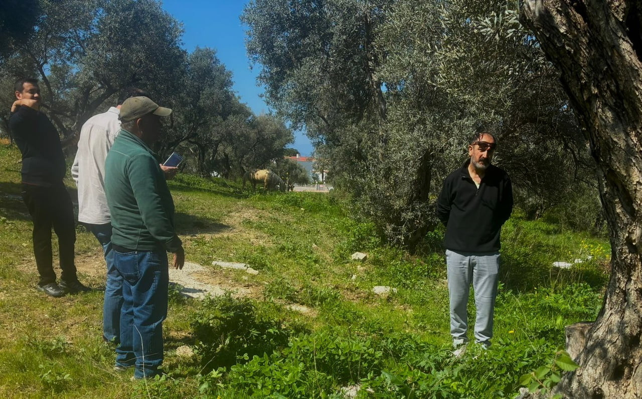 AYDIN’IN KUŞADASI İLÇESİNDE ENDEMİK TÜLÜŞAH BİTKİSİNİN BULUNDUĞU ALANLARDA TAHRİBAT TESPİT...