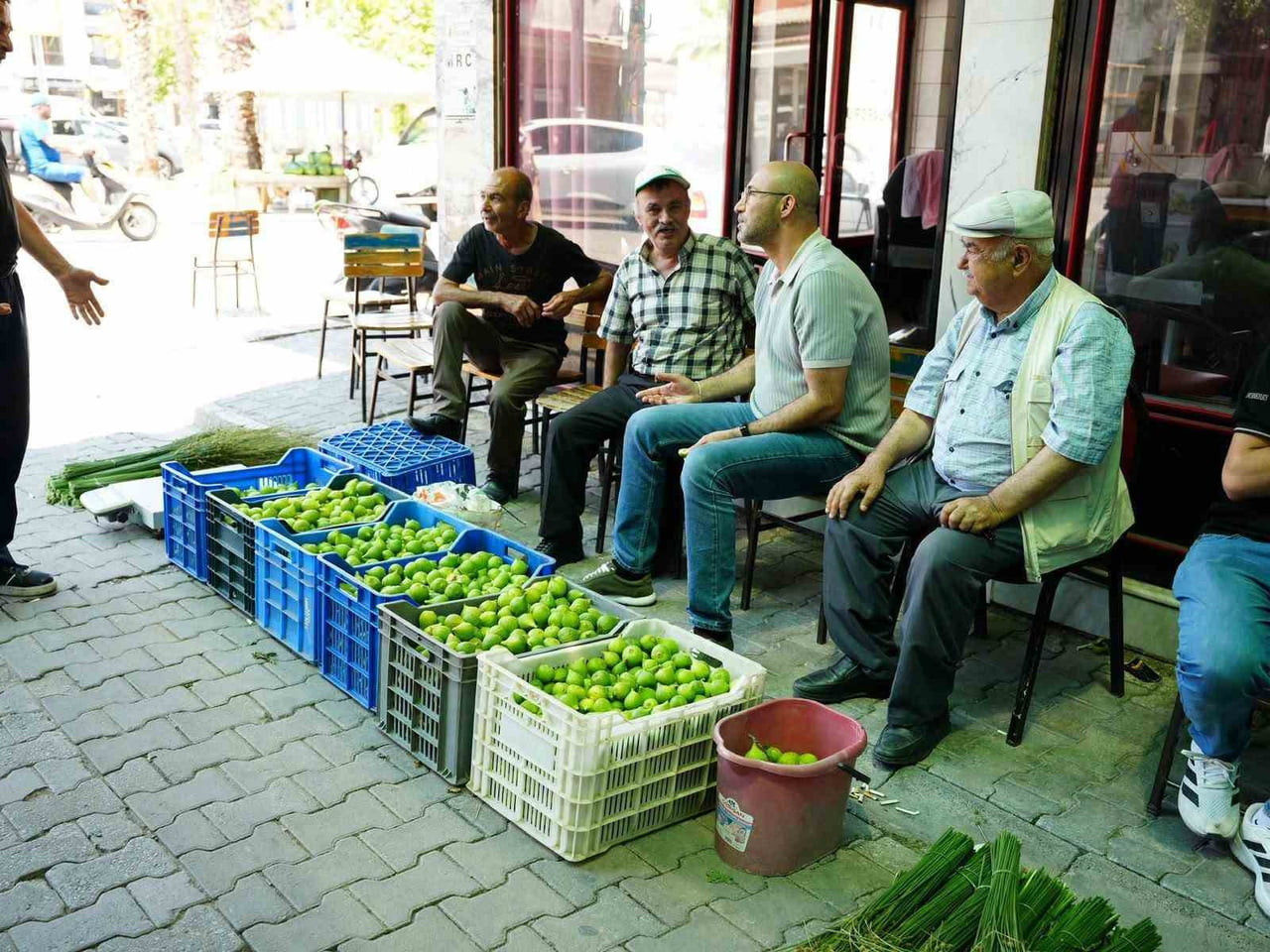 AYDIN’IN SEMBOL ÜRÜNÜ İNCİR MEYVESİNİN OLGUNLAŞMASI İÇİN KULLANILAN ERKEK İNCİR (İLEK) SATIŞLARI...