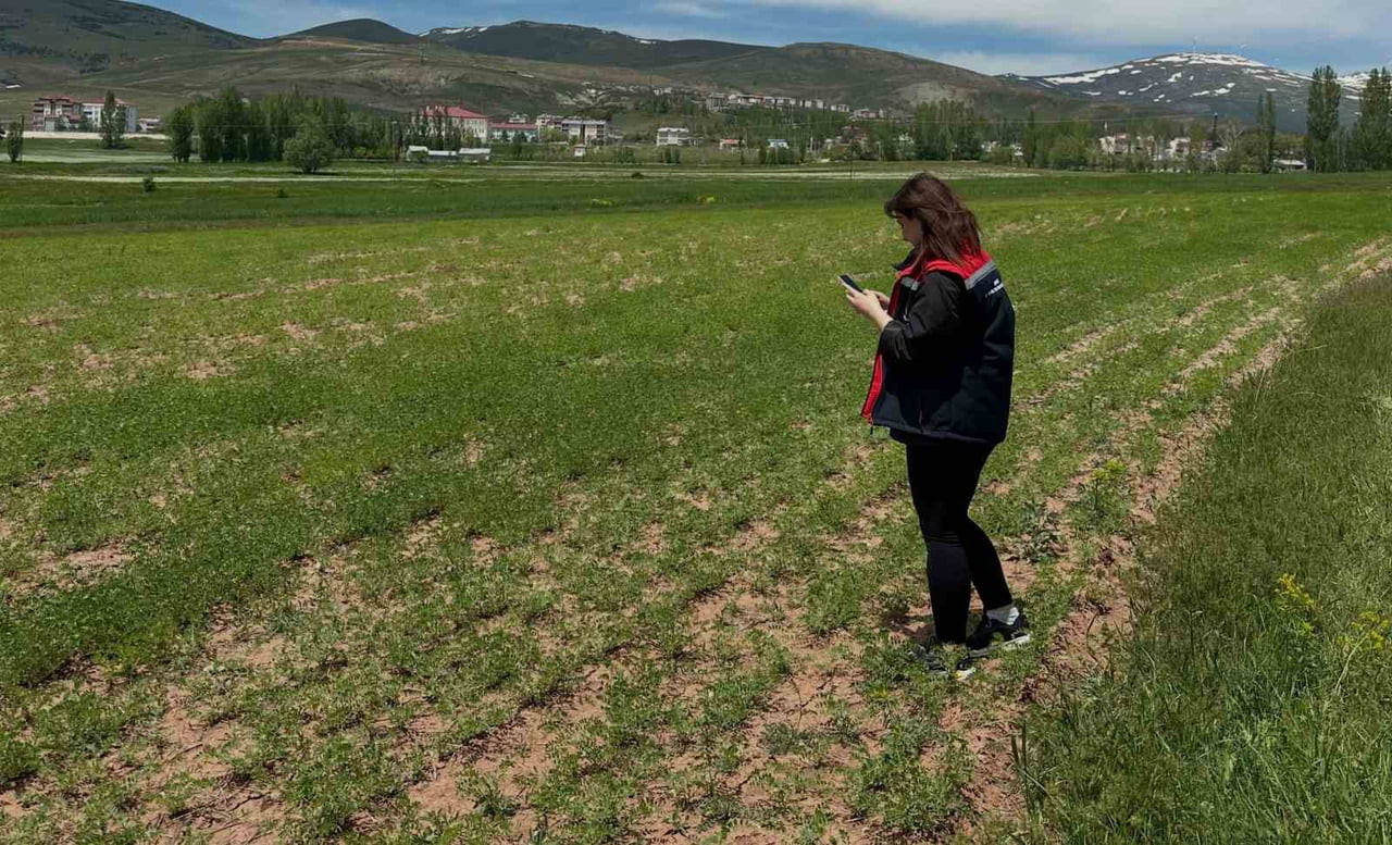 AYDINTEPE'DE ÜRÜN TESPİT ÇALIŞMALARI SÜRÜYOR