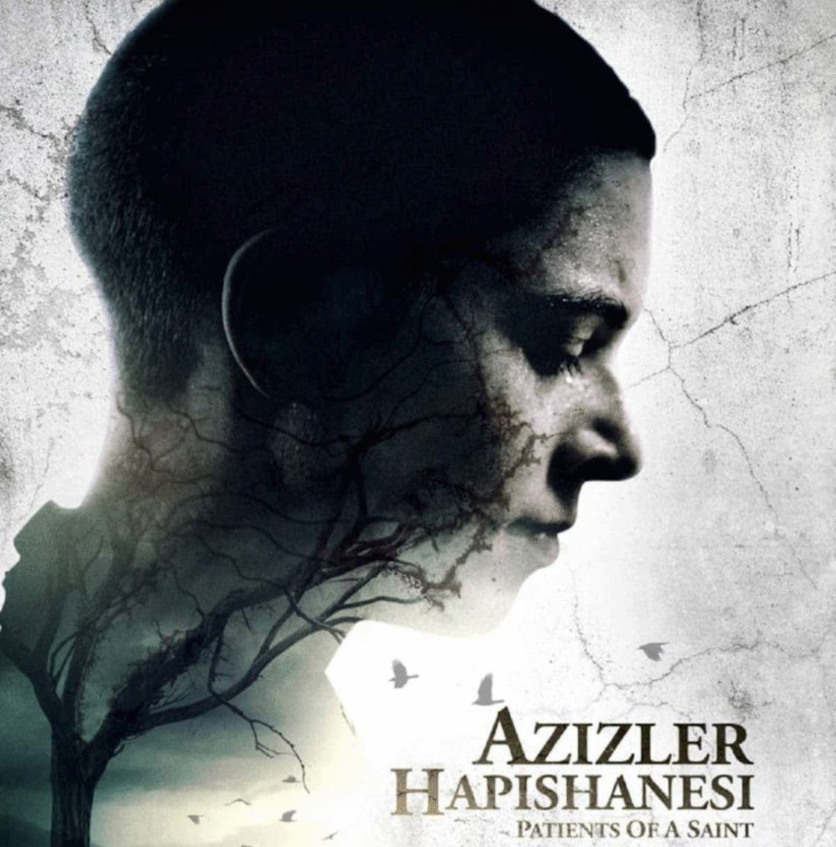 Azizler Hapishanesi Filmi Konusu ve Oyuncuları