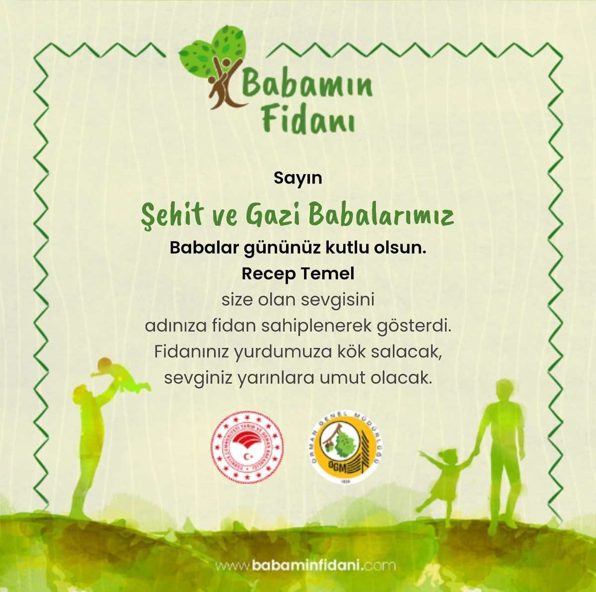 Babamın fidani