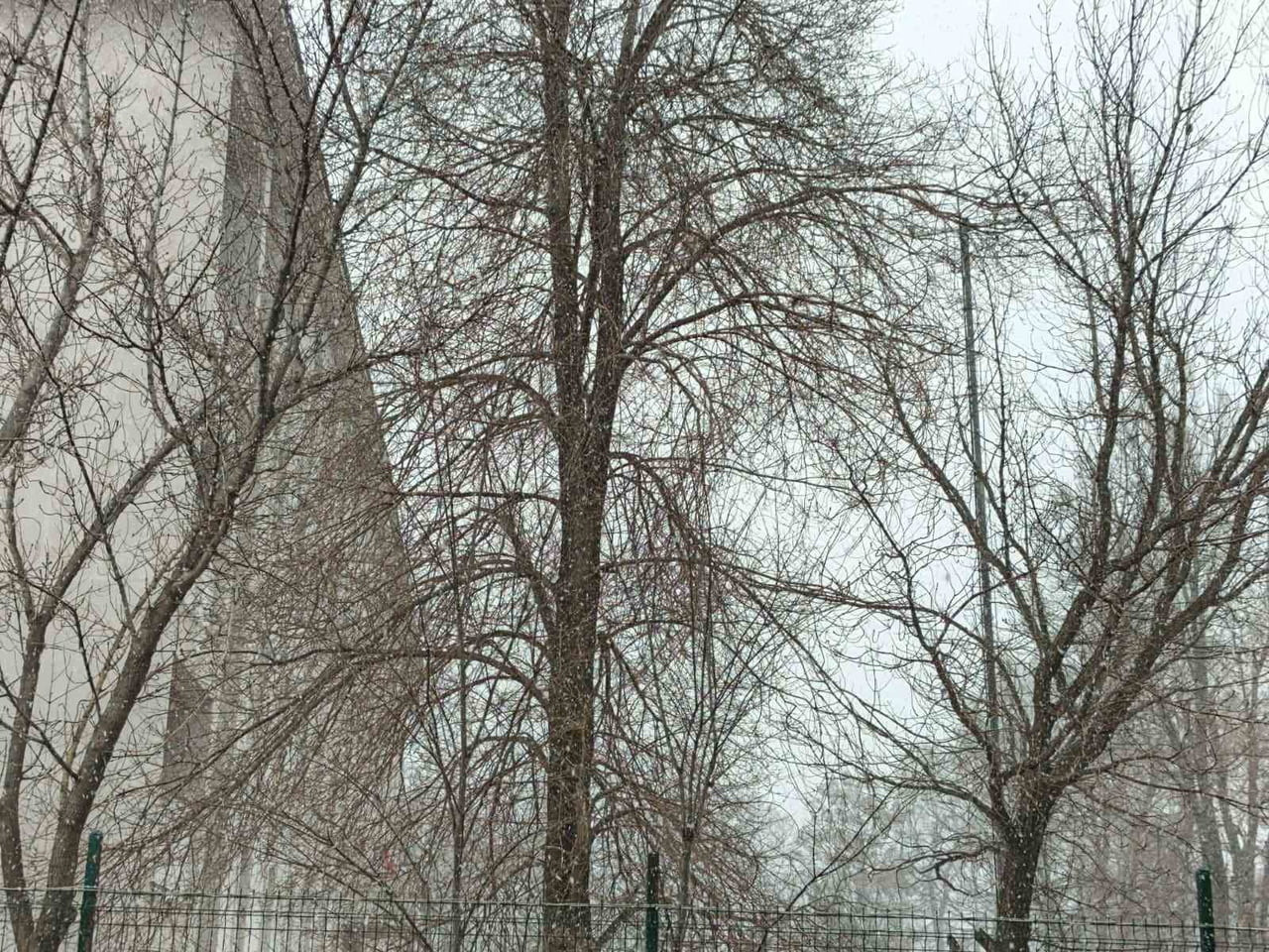 BAHAR GELMEDEN KIŞ GERİ DÖNDÜ DİYADİN’E KAR SÜRPRİZİ