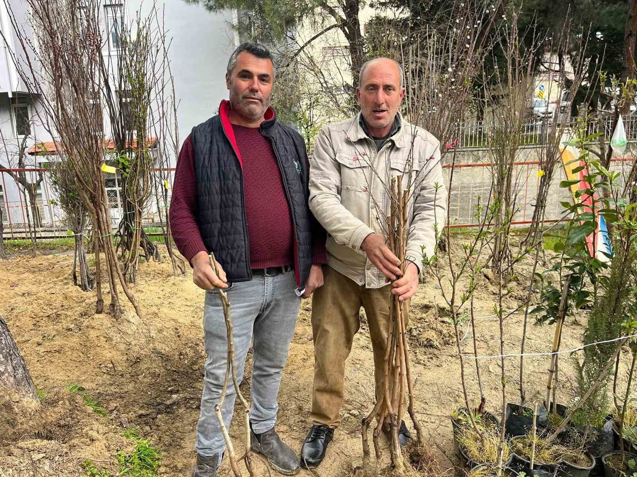 BAHARIN GELİŞİYLE BİRLİKTE BULDAN’DA FİDAN DİKİM SEZONU HAREKETLENDİ. YILLARDIR İLÇEYE FİDAN...