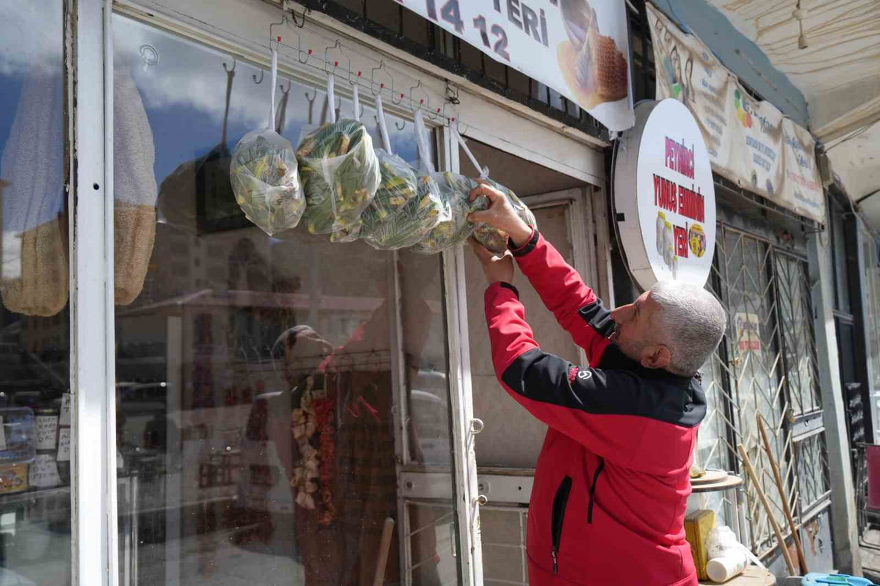 BAHARIN GELİŞİYLE TEZGÂHLARDA YERİNİ ALAN ÇİRİŞ OTU, MUŞ’TA BAŞLATILAN "ASKIDA" UYGULAMASIYLA...