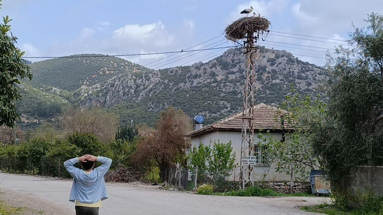 BAHARIN GELMESİYLE BİRLİKTE LEYLEKLERİN GÖÇÜ DE İTİBARIYLA BAŞLADI. KOZAN'IN ACARMANTAŞ...