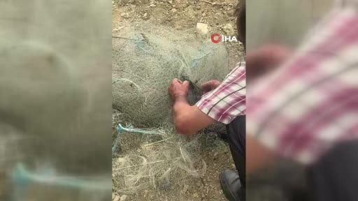 Balık ağında mahsur kalan yılanı elleriyle kurtardı