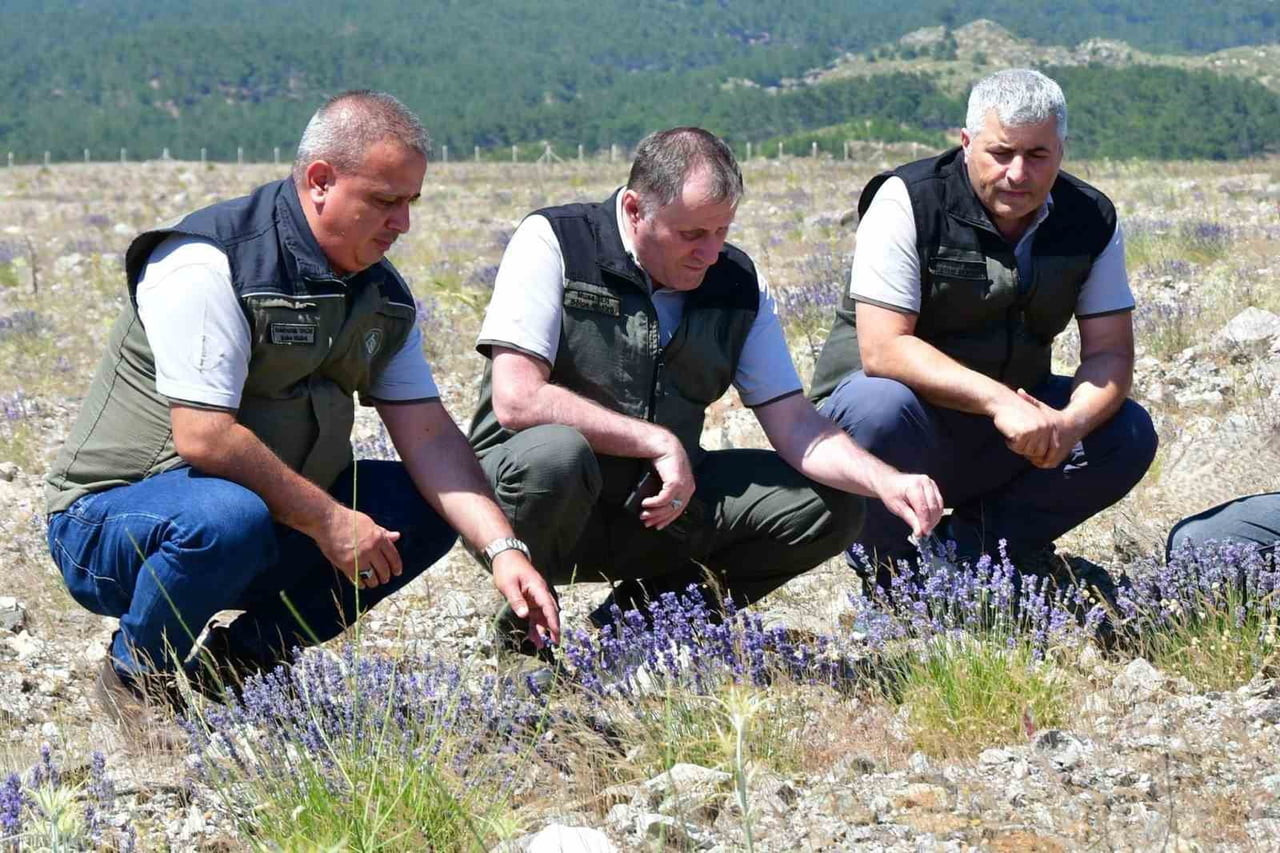 BALIKESİR ORMAN BÖLGE MÜDÜRÜ MUSA ŞEN, EDREMİT ORMAN İŞLETME MÜDÜRLÜĞÜ SORUMLULUK SAHASINDA YER...