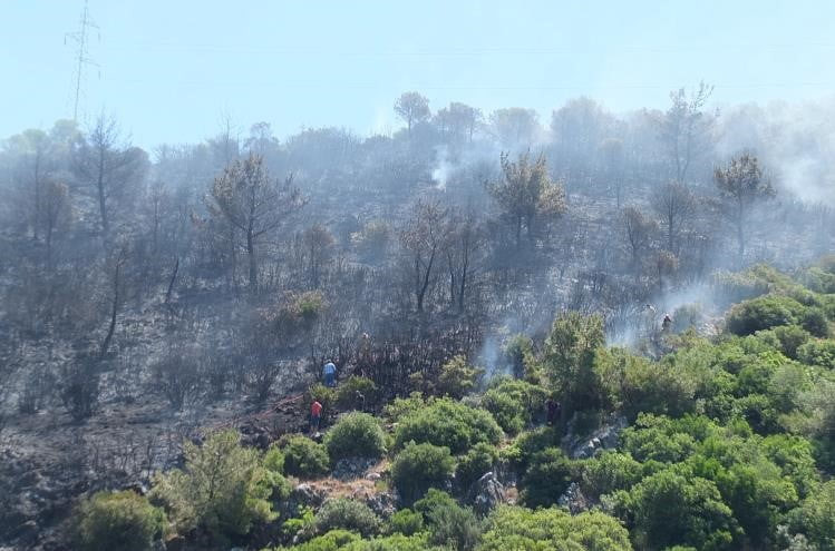 BALIKESİR'DEKİ ORMAN YANGINI KONTROL ALTINA ALINDI