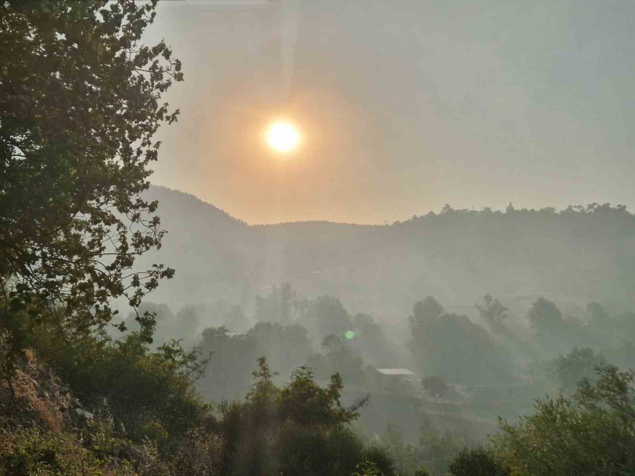 BALIKESİR'İN ALTIEYLÜL İLÇESİNDEKİ KIRSAL BEREKETLİ MAHALLESİ'NDE ÖĞLEDEN SONRA BAŞLAYAN ORMAN...