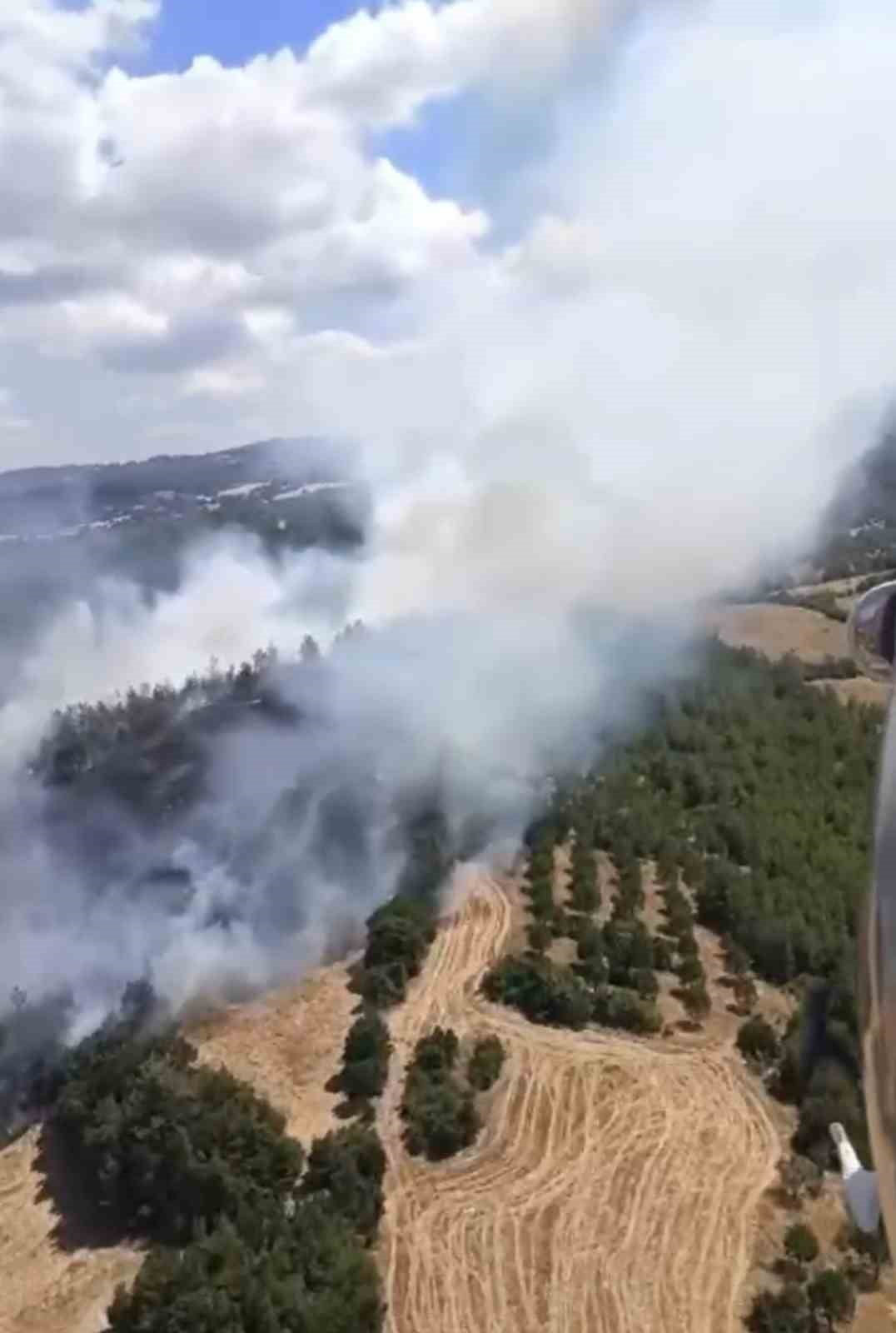 BALIKESİR'İN ALTIEYLÜL İLÇESİNE BAĞLI MACARLAR MAHALLESİ YAKINLARINDA OTLUK ALANDA ÇIKAN YANGIN...