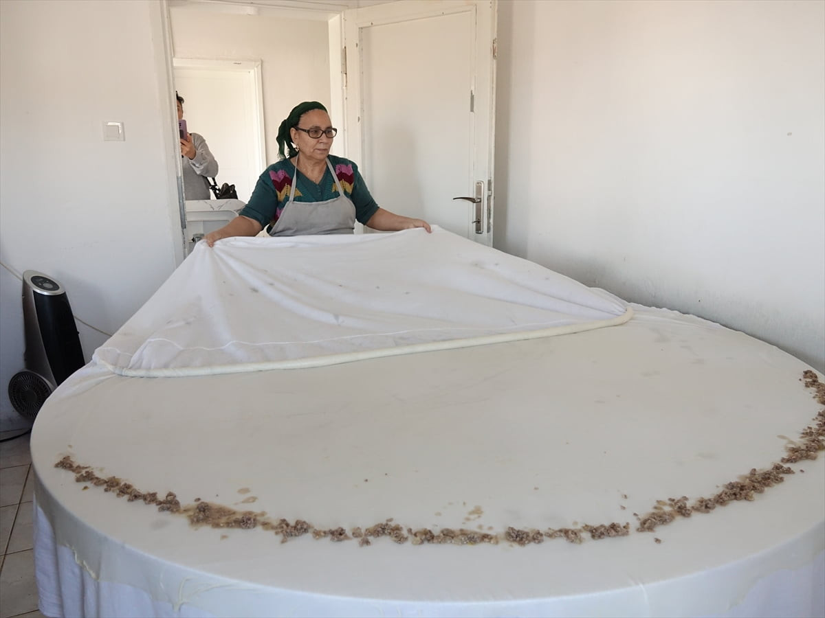 Balıkesir'in Ayvalık ilçesinde 2019 yılında kurulan Ayvalık Üretim ve Pazarlama Kooperatifi...