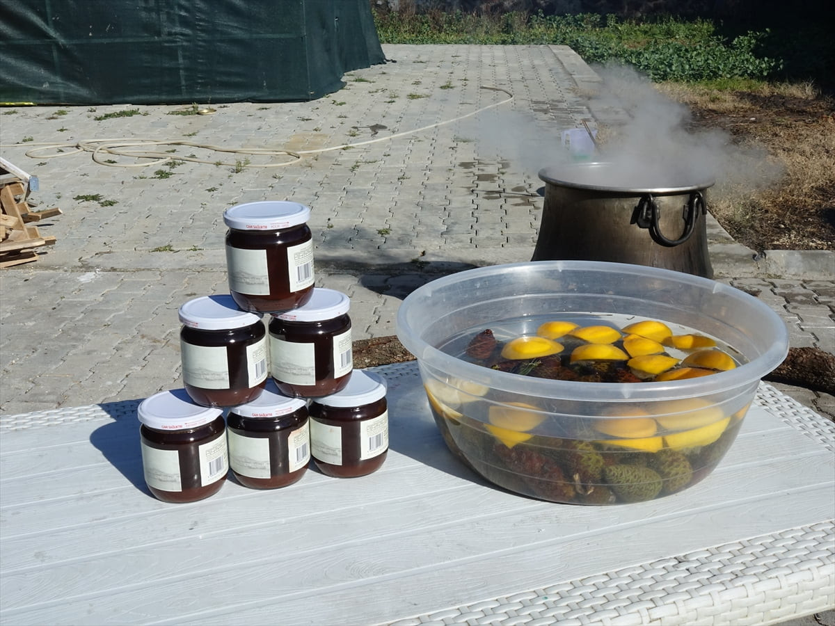 Balıkesir'in Ayvalık ilçesinde kadınların geleneksel yöntemlerle ürettiği kozalak şurubu, 4 günlük...