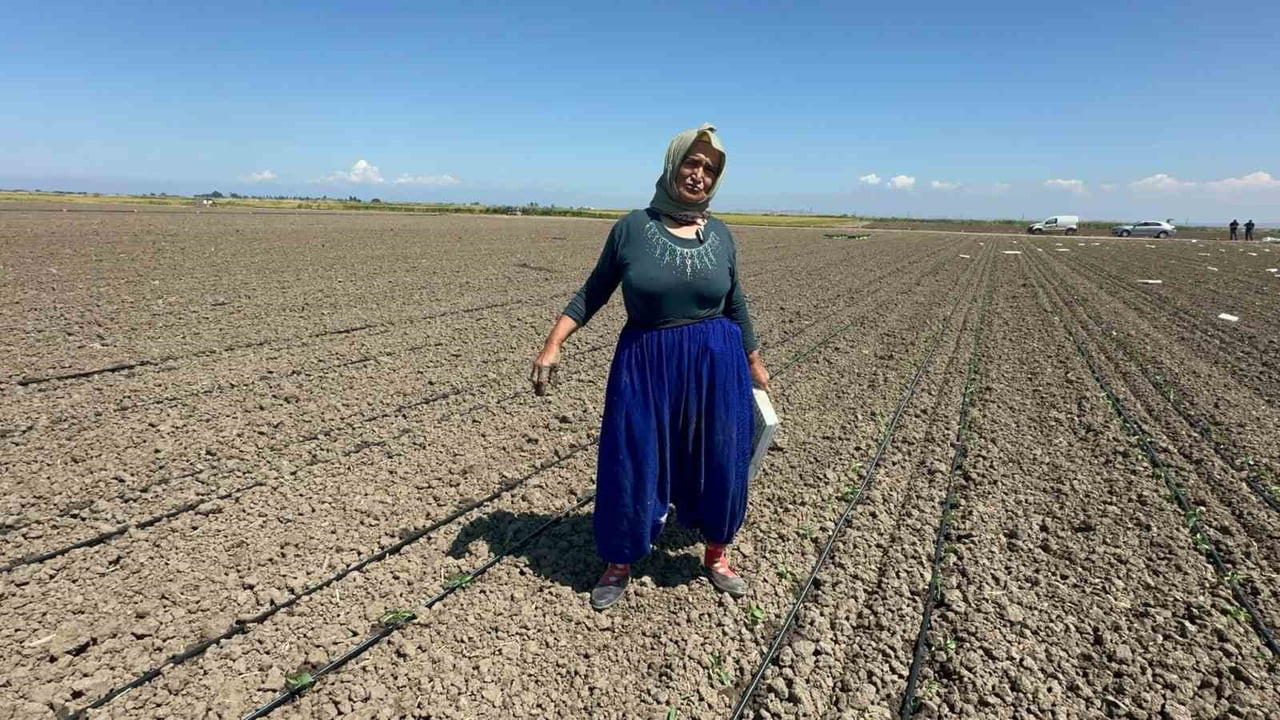 BALIKESİR'İN MANYAS İLÇESİNDE 10 YIL ÖNCE BELİNDEN AMELİYAT OLAN 70 YAŞINDAKİ TARIM İŞÇİSİ FATMA...