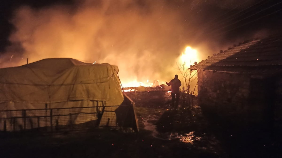 Balıkesir'in Savaştepe ilçesinde evde çıkan yangında 1 kişi yaralandı.