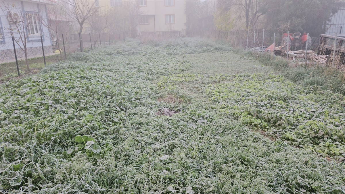 Balıkesir'in Sındırgı ilçesinde sis ve soğuk hava etkili oldu. İlçede gece sıfırın altına düşen...