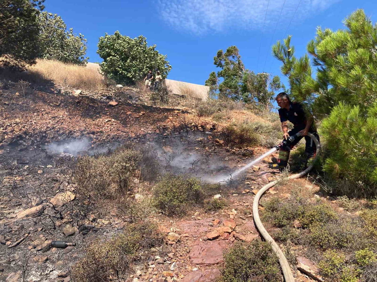 BALIKESİR’İN AYVALIK İLÇESİNE BAĞLI ALİBEY (CUNDA) ADASI'NDA ÇIKAN ORMAN YANGINI, EKİPLERİN HIZLI...