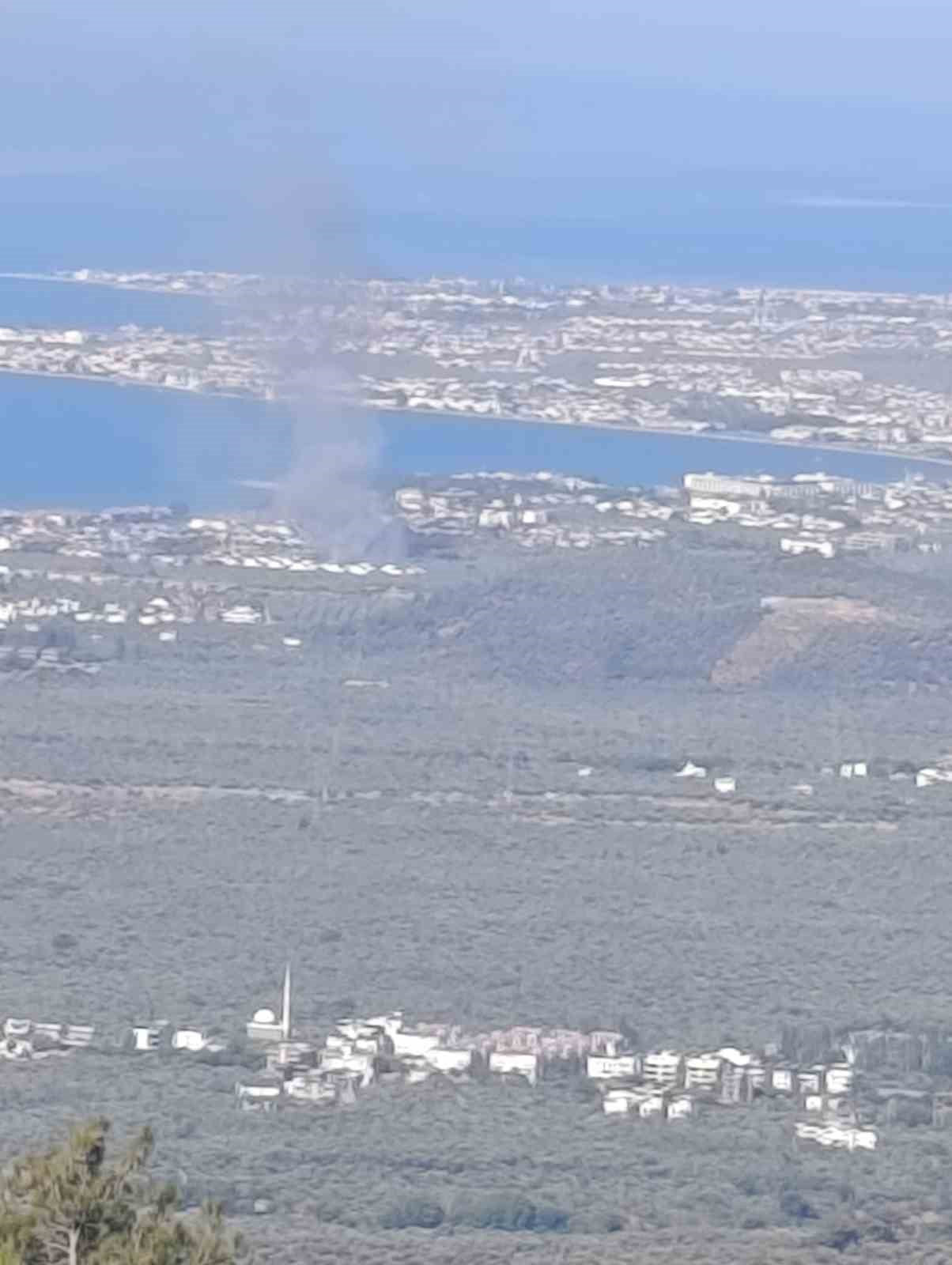 BALIKESİR’İN EDREMİT İLÇESİNE BAĞLI GÜRE MAHALLESİ’NDE ZEYTİNLİK ALANDA ÇIKAN KORKUTUCU...