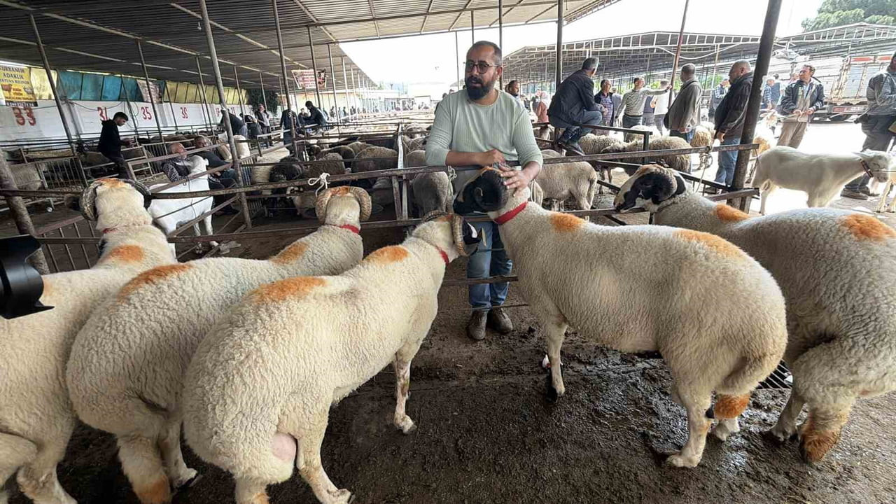 BALIKESİR’İN HAVRAN İLÇESİNDE KURULAN VE BÖLGENİN TEK RUHSATLI CANLI HAYVAN PAZARI OLMA ÖZELLİĞİNİ...