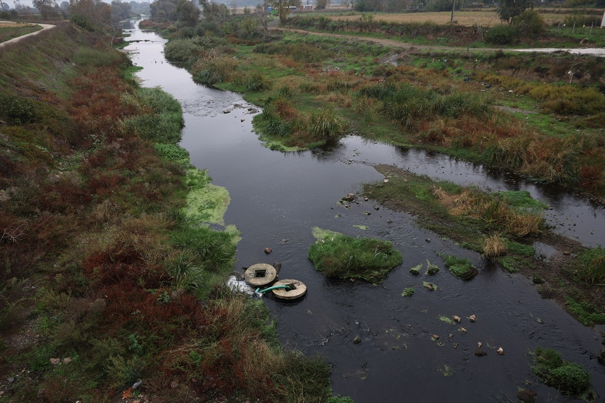 Bandırma Onyedi Eylül Üniversitesi Denizcilik Fakültesi Öğretim Üyesi Prof. Dr. Mustafa Sarı...