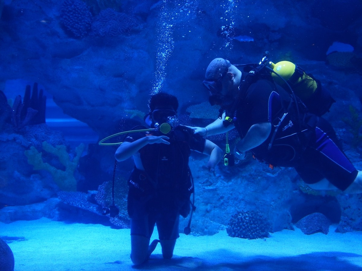 Bandırma Onyedi Eylül Üniversitesince "3 Aralık Dünya Engelliler Günü" dolayısıyla engelli...