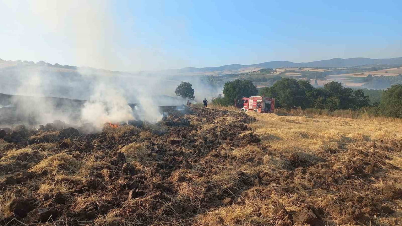 BANDIRMA'DA BUĞDAY TARLASINDA ÇIKAN YANGIN EKİPLERİN MÜDAHALESİYLE SÖNDÜRÜLDÜ