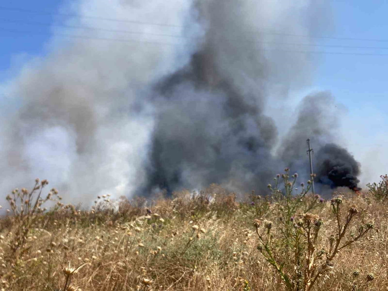 BANDIRMA'DA OTLUK ALANDA ÇIKAN YANGIN SÖNDÜRÜLDÜ