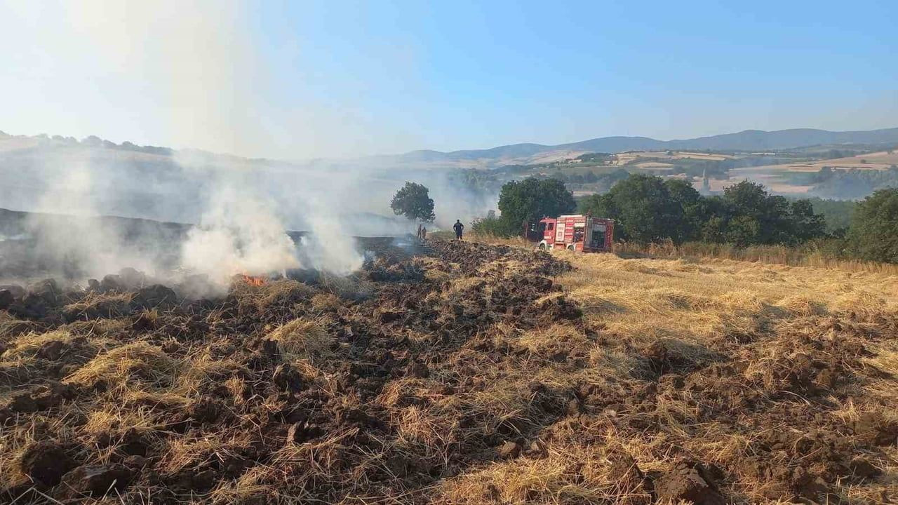 Bandırma’da buğday tarlasında çıkan yangın kontrol altına alındı