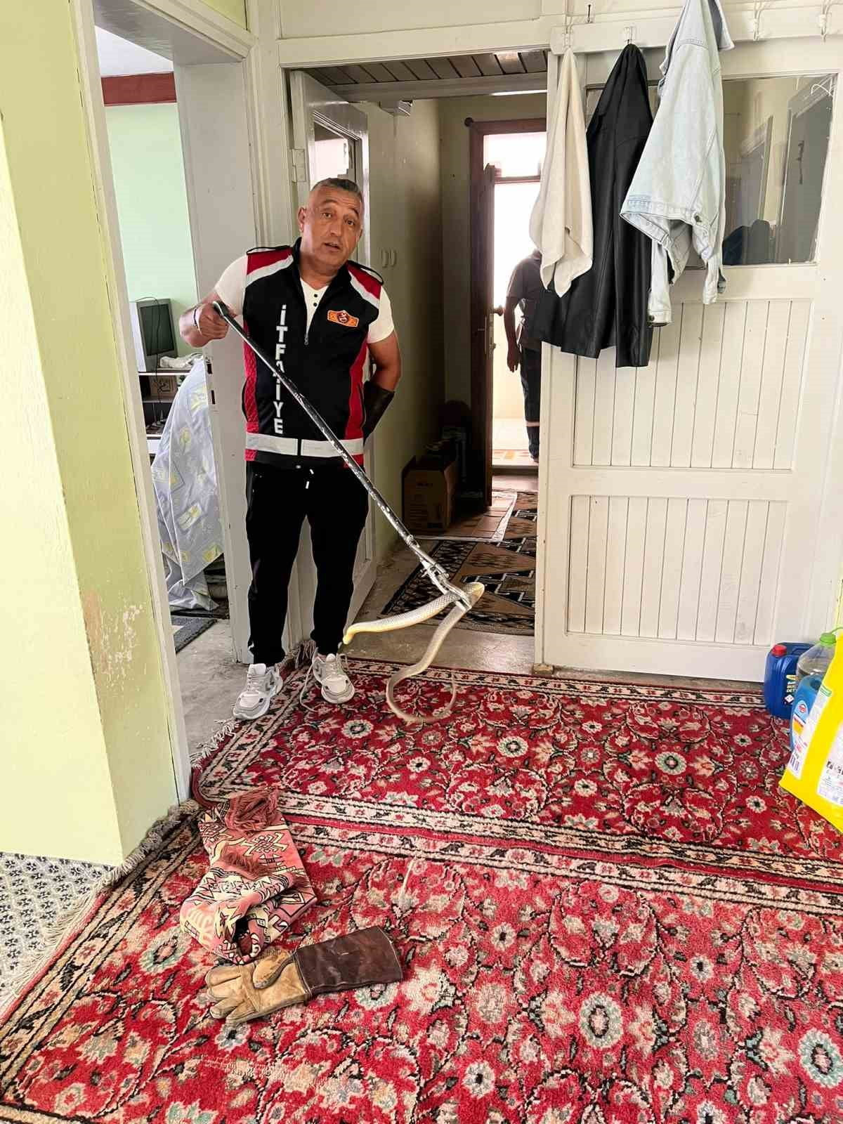 BARTIN'DA VATANDAŞIN EVİNE GİREN YILAN EKİPLERİN MÜDAHALESİYLE DOĞAYA BIRAKILDI.
