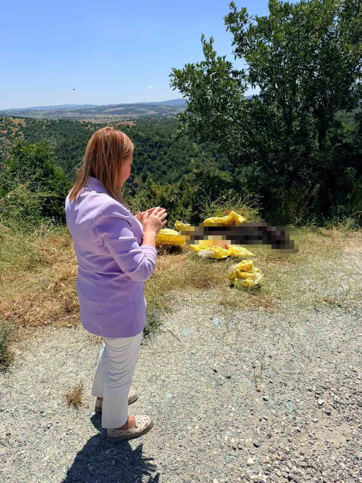 BAŞKAN TEKİN’DEN YOL KENARINA BIRAKILAN HAYVAN LEŞİNE SERT TEPKİ