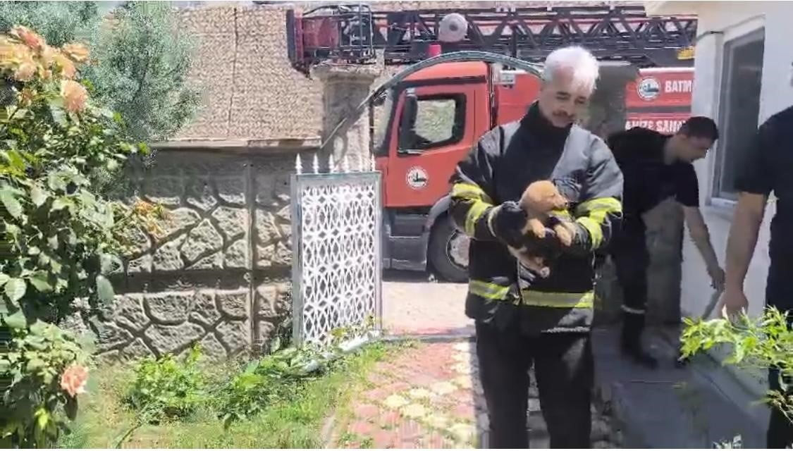 BATMAN ORGANİZE SANAYİ BÖLGESİ’NDE BİR FABRİKANIN DUVARI ARASINA SIKIŞAN KÖPEK, YAPILAN...