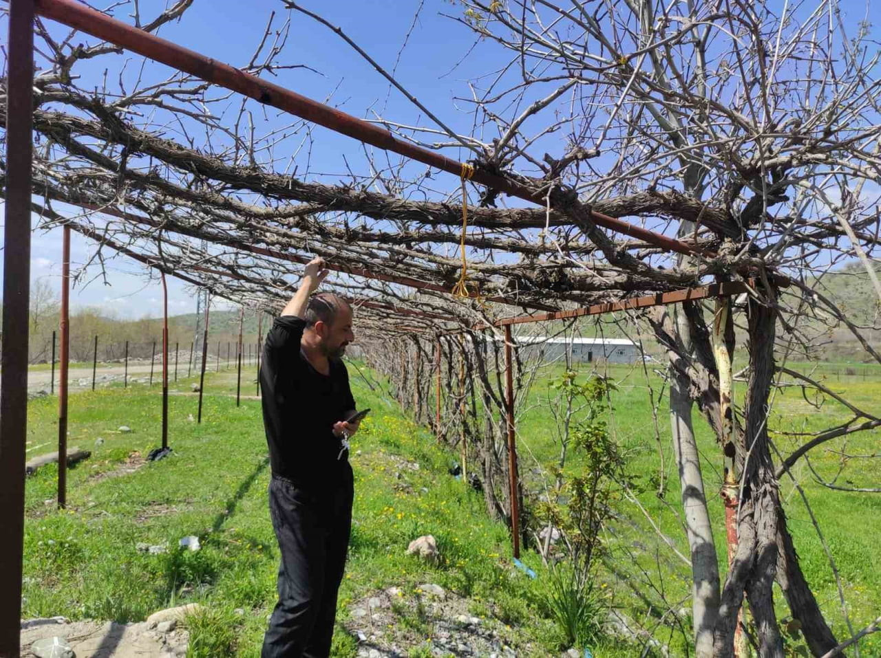 BATMAN'DA SON DÖNEMDE YAŞANAN ANİ HAVA DEĞİŞİMLERİ, MEYVE ÜRETİCİLERİNİ OLUMSUZ ETKİLEDİ. KISA...