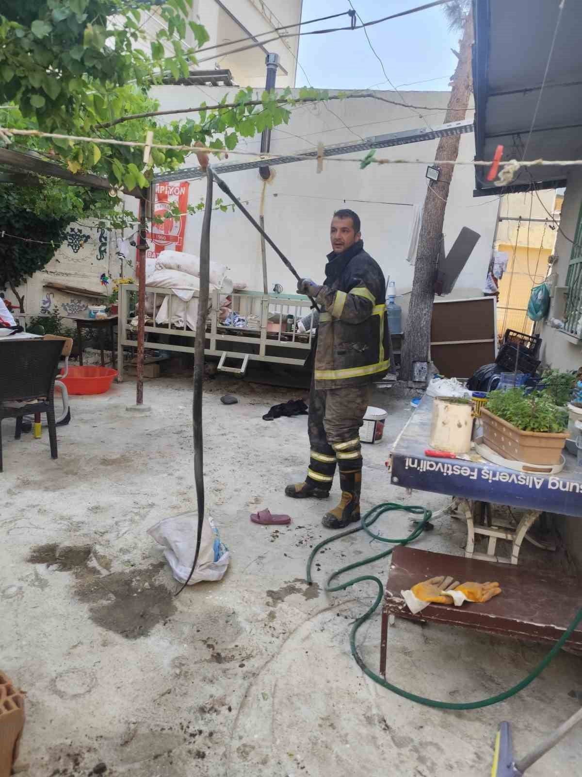 BATMAN’DA YAZ MEVSİMİNİN GELMESİYLE BİRLİKTE ARTAN HAVA SICAKLIKLARI, YABAN HAYATINI DA...