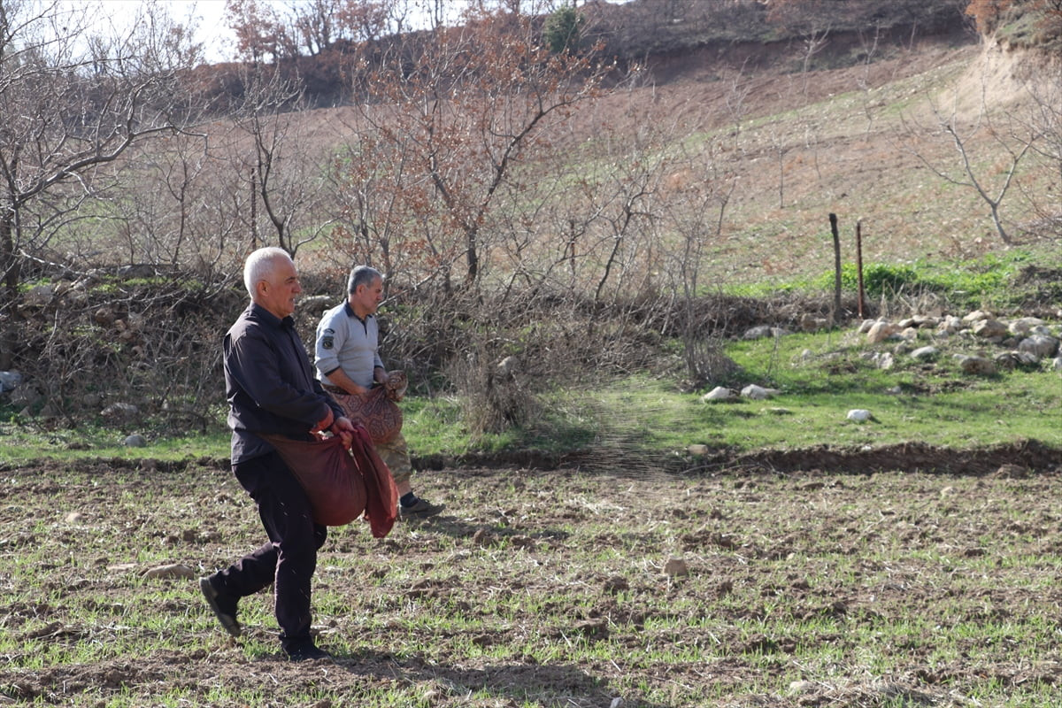 Batman’ın Hasankeyf ilçesinde çiftçiler, makinelerin ulaşamadığı engebeli arazilerde gübreleme...