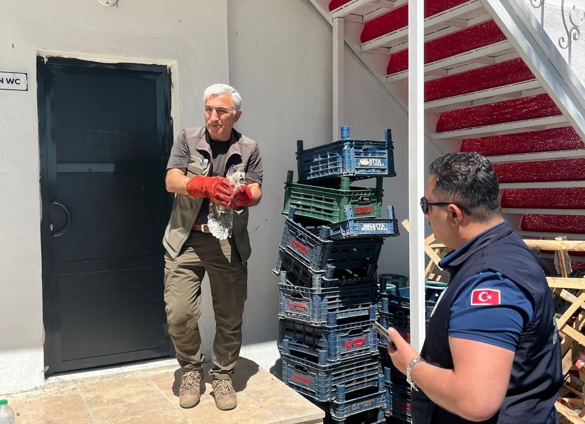 BATTALGAZİ ZABITASI BULDUĞU YAVRU BAYKUŞU KORUMA ALTINA ALDI